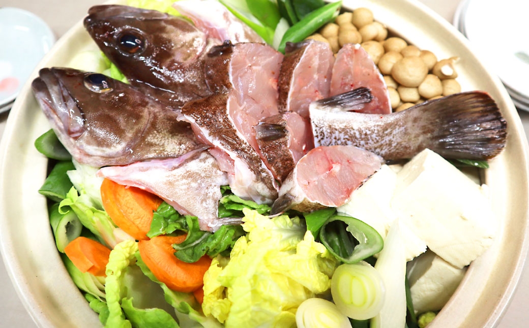 長崎の森で育てた『幻のクエ』 【セット】昆布〆 刺身用 5～6人前、鍋用 5～6人前(1kg～2kg前後×2)