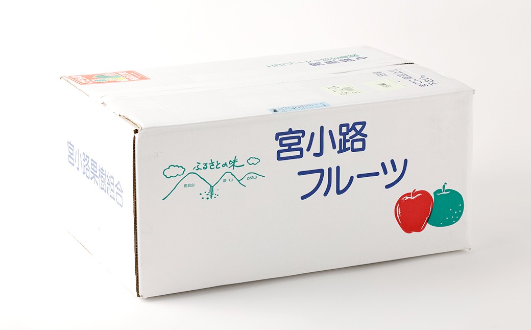 【3ヶ月定期便】 梨 3kg