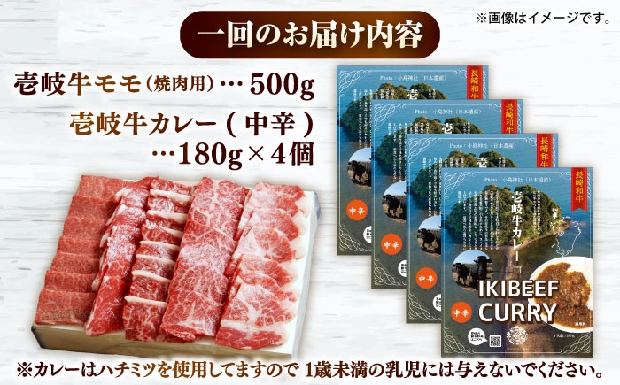 カレー モモ 焼き肉 お取り寄せ グルメ ビーフ ご当地 定期便