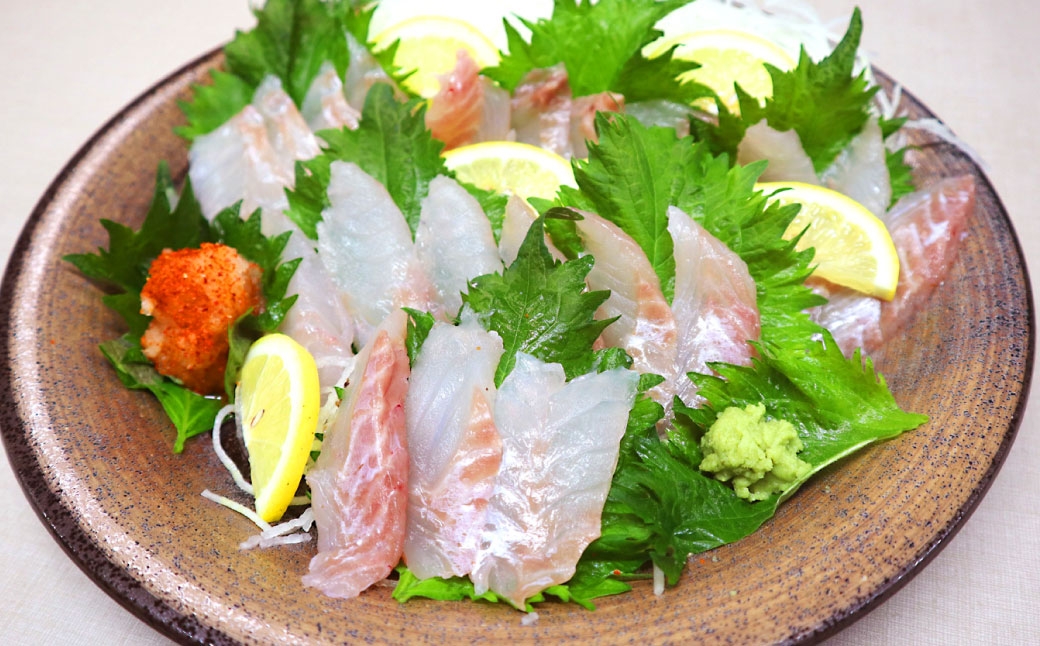 長崎の森で育てた『幻のクエ』 刺身用 5～6人前(1kg～2kg前後)／ 海鮮 魚介 刺身 クエ 鍋 高級魚 長崎県 長崎市