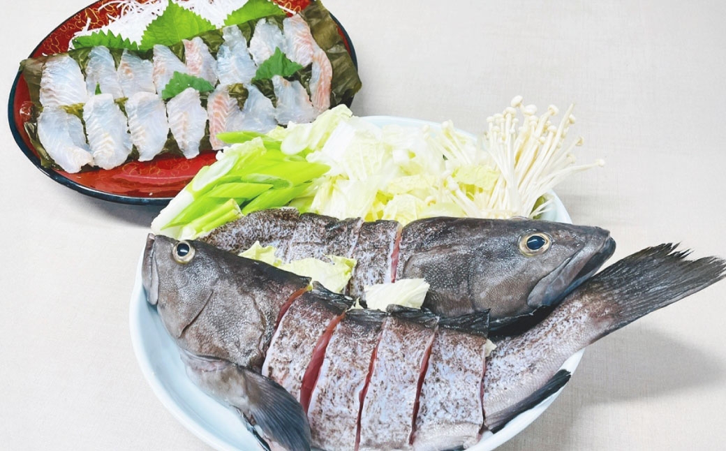 長崎の森で育てた『幻のクエ』 【セット】昆布〆 刺身用 5～6人前、鍋用 5～6人前(1kg～2kg前後×2)