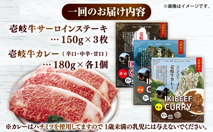 カレー サーロイン ステーキ お取り寄せ グルメ ビーフ ご当地 定期便