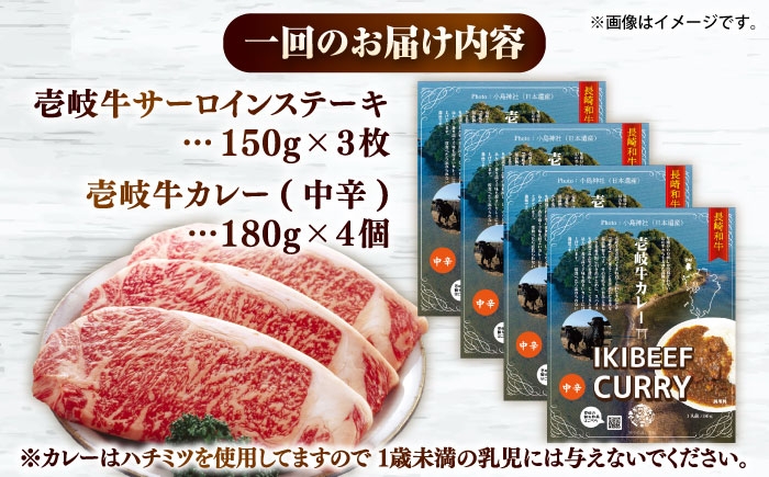 カレー サーロイン ステーキ お取り寄せ グルメ ビーフ ご当地 定期便