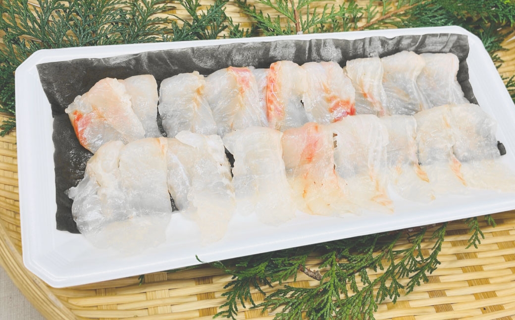 長崎の森で育てた『幻のクエ』昆布〆 刺身用  5～6人前(1kg～2kg前後)