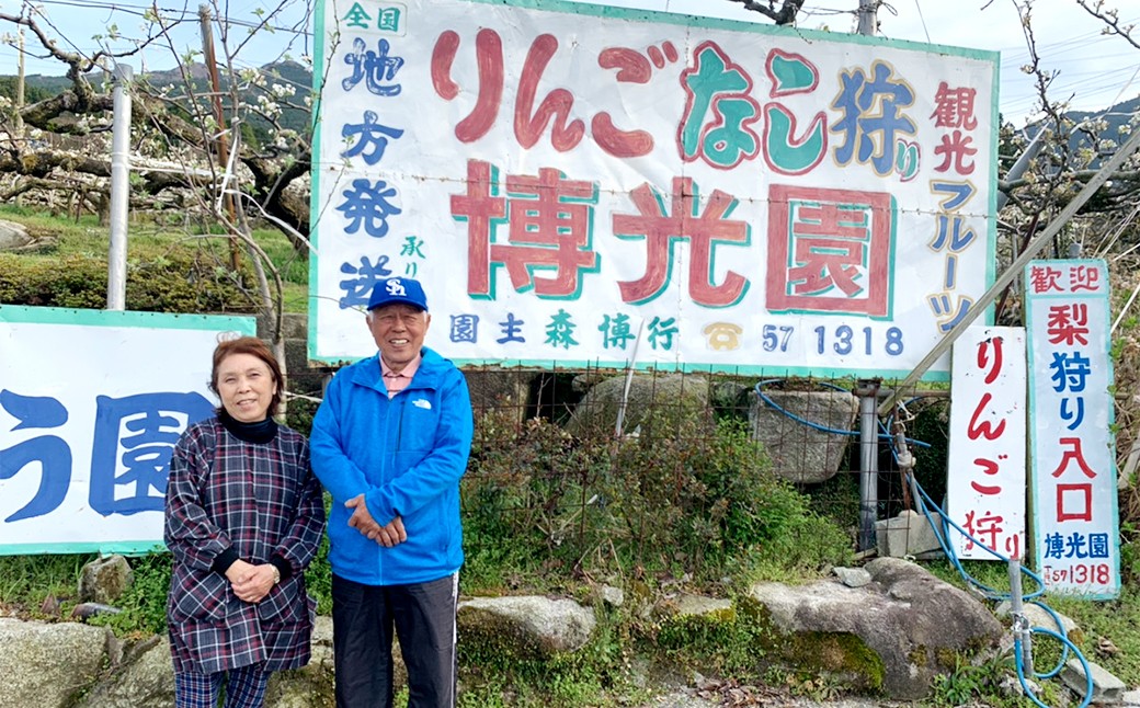 【3ヶ月定期便】 梨 3kg