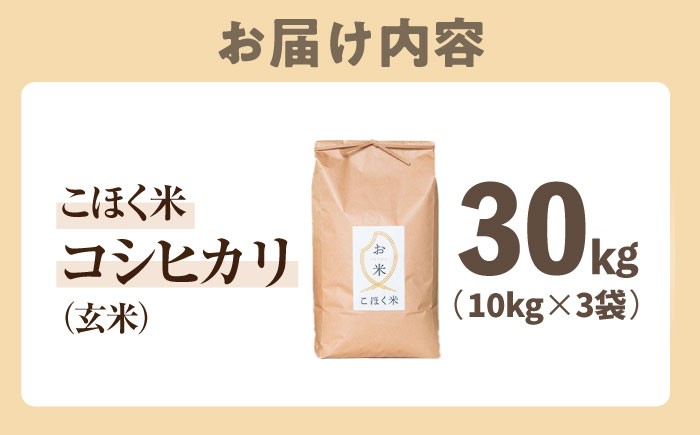  滋賀県湖北産 湖北のコシヒカリ 30kg(玄米)　米 お米 ご飯 ごはん ゴハン おにぎり 炊き込みご飯 人気 おすすめ