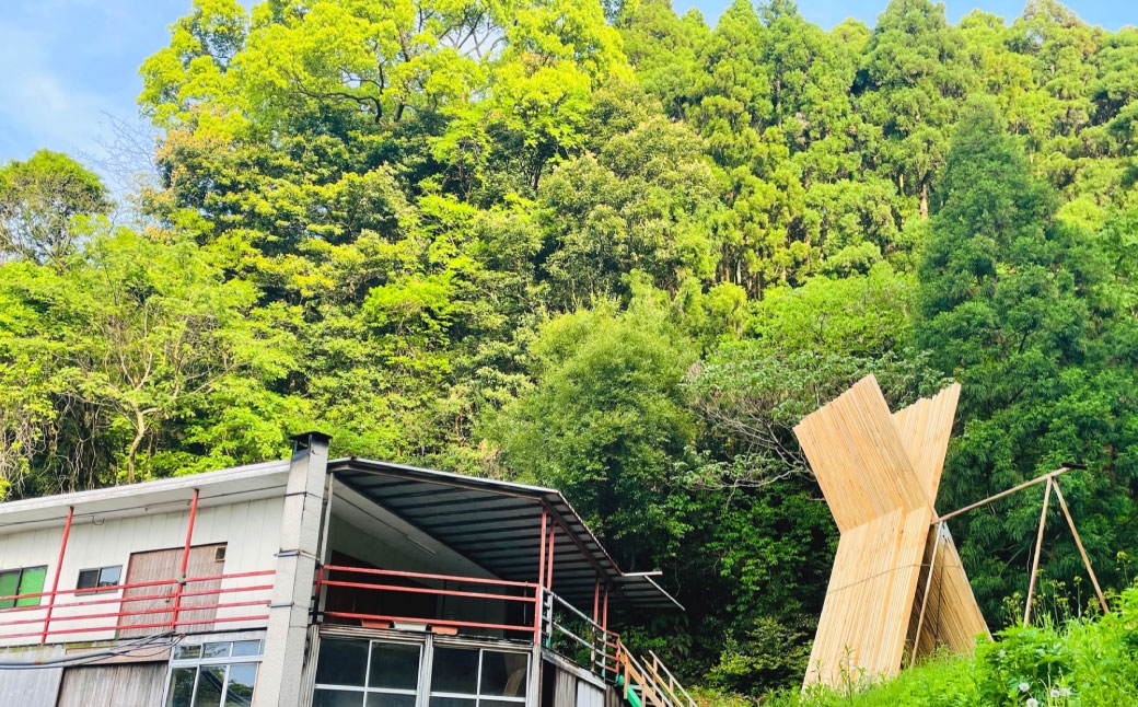 長崎の森で育てた『幻のクエ』昆布〆 刺身用  5～6人前(1kg～2kg前後)