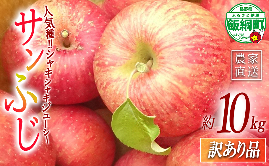 りんご農家応援企画！農家直送！サンふじ 5kg