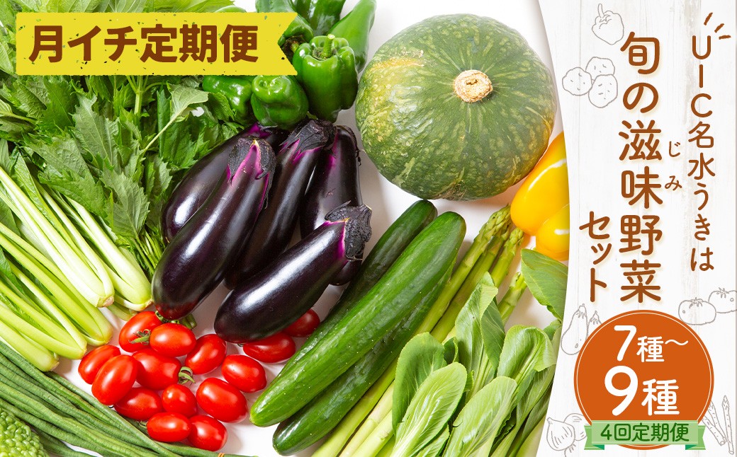 【月イチ定期便】UIC 名水うきはのお野菜セット (ひと月1箱×4か月=計4回)