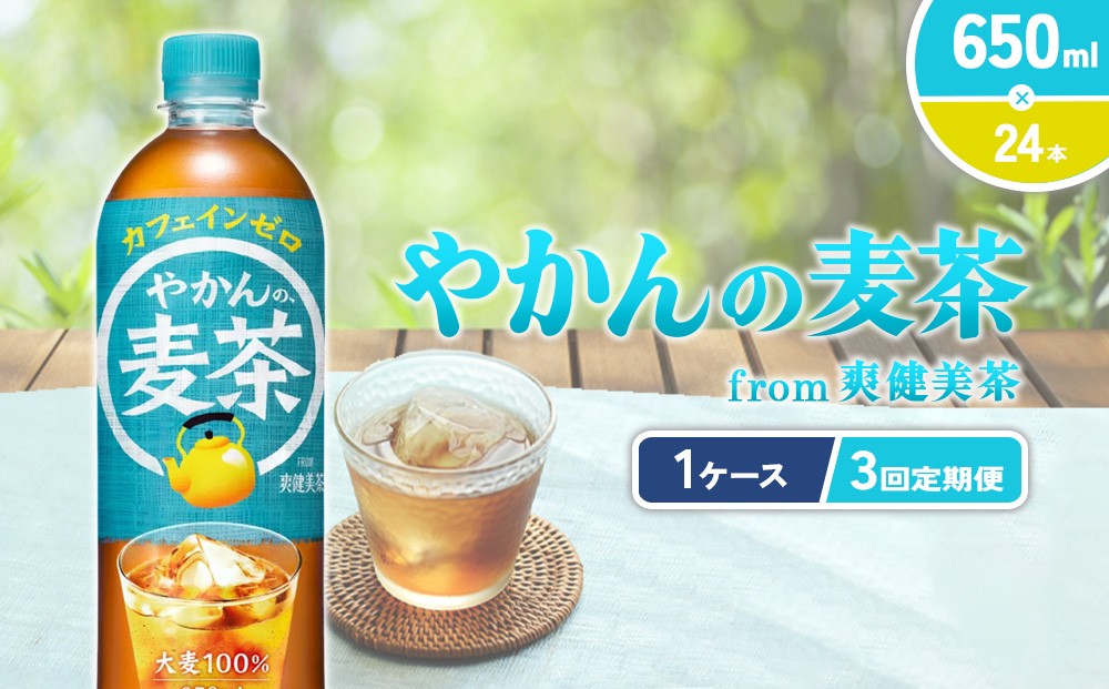 【3回定期便】やかんの麦茶 from 爽健美茶 PET 650ml 24本×3回 合計72本 