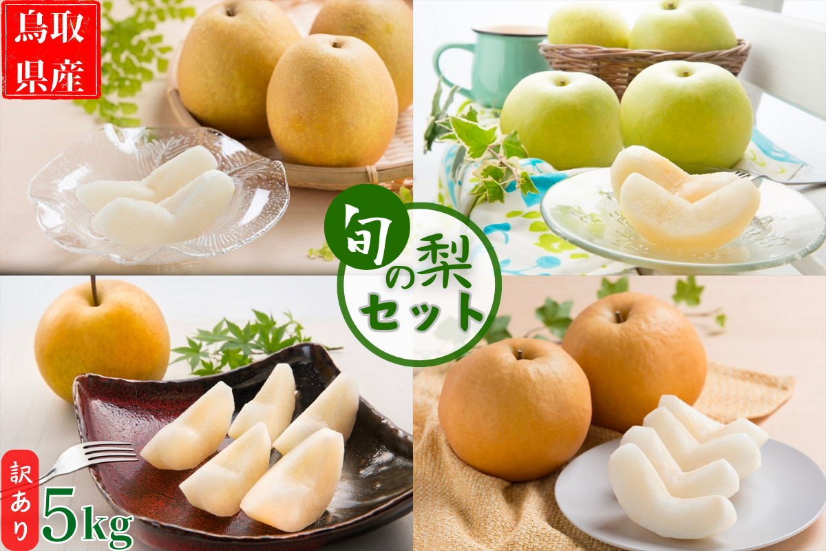 「梨王国」鳥取県産！旬を迎えた品種から2種類前後をお届けします！