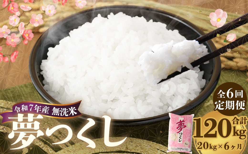 【6ヶ月定期便】 無洗米 食味鑑定士厳選 夢つくし 20kg（5kg×4袋）×6回 計120kg