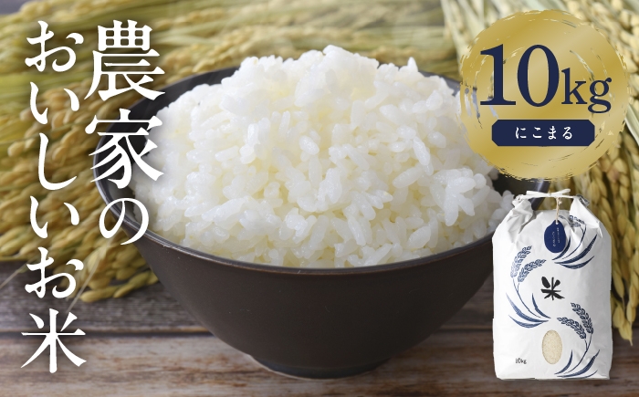 お米 精米 白米 ご飯 ごはん 特別栽培米 愛知県産 米 10kg 10キロ