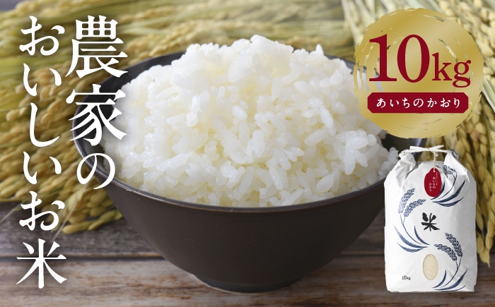 お米 精米 白米 ご飯 ごはん 特別栽培米 愛知県産 米 10kg 10キロ