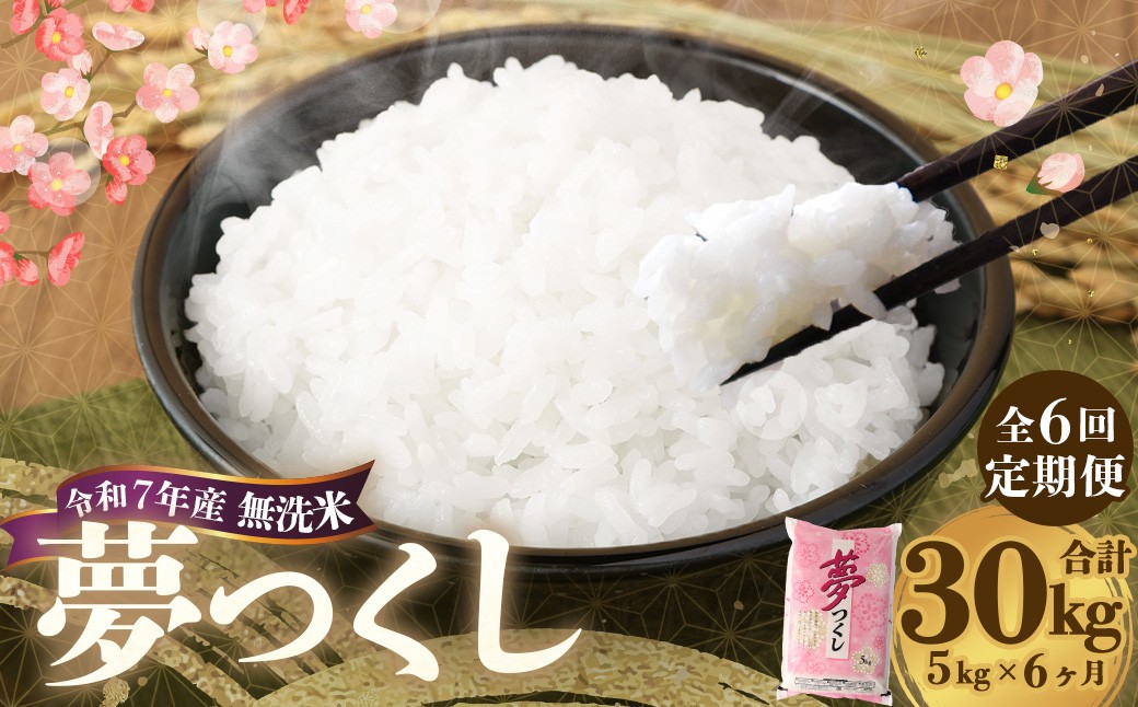 【6ヶ月定期便】 無洗米 食味鑑定士厳選 夢つくし 5kg×6回 計30kg
