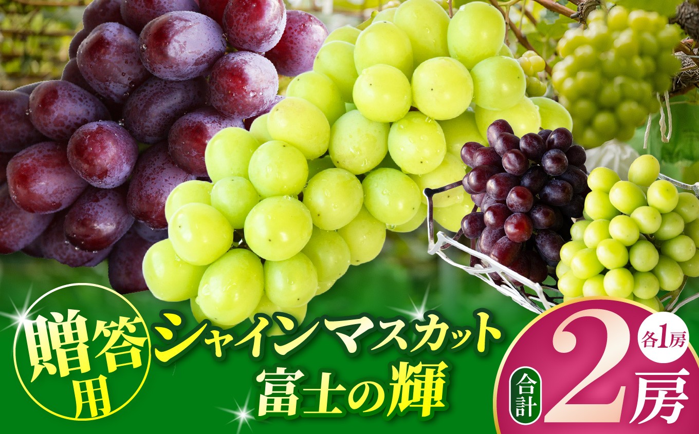 清らかな空気、綺麗な水、豊かな土壌で育まれた元気いっぱいのぶどう