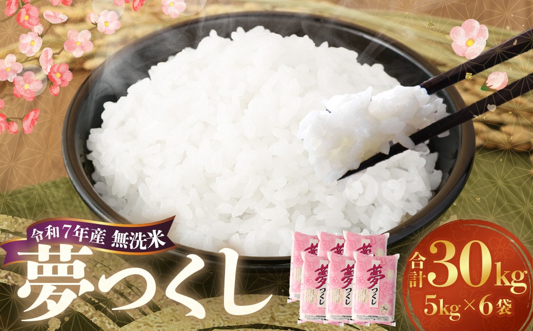 【令和7年産】 無洗米 食味鑑定士厳選 夢つくし 計30kg（5kg×6袋）