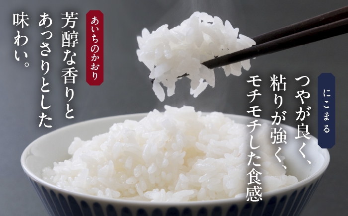 お米 精米 白米 ご飯 ごはん 特別栽培米 愛知県産 米 20kg 20キロ