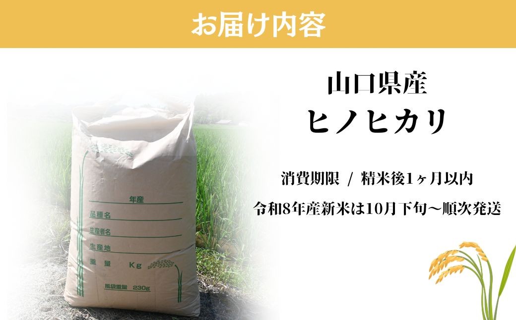 玄米 【先行予約／令和8年産新米】 ヒノヒカリ 5kg 玄米 げんまい ゲンマイ げん米 ゲン米 玄まい 玄マイ ヒノヒカリ