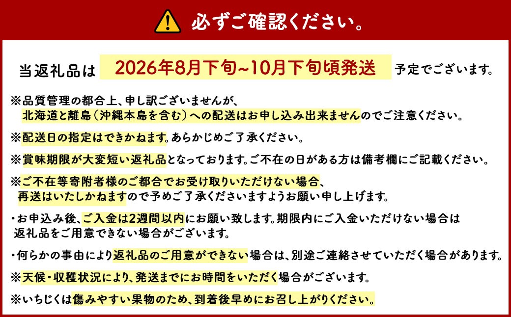 福岡県 ブランド いちじく「博多とよみつひめ」4パック