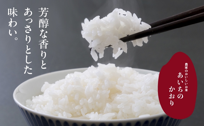 お米 精米 白米 ご飯 ごはん 特別栽培米 愛知県産 米 10kg 10キロ