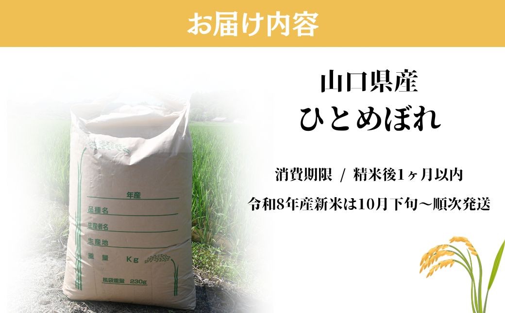 玄米 【先行予約／令和8年産新米】 ひとめぼれ 30kg  玄米 げんまい ゲンマイ げん米 ゲン米 玄まい 玄マイ ひとめぼれ