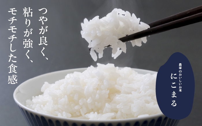 お米 精米 白米 ご飯 ごはん 特別栽培米 愛知県産 米 5kg 5キロ 愛西市