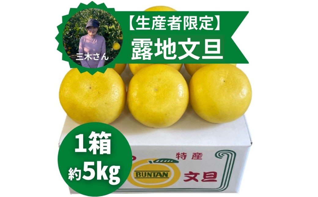 三木さんの露地土佐文旦 1箱約5kg