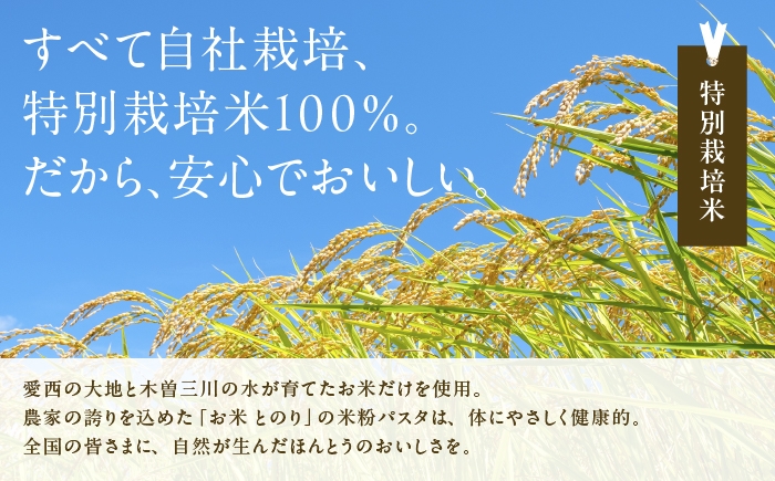 お米 玄米 雑穀米 ご飯 ごはん 特別栽培米 愛知県産 米 20kg 20キロ
