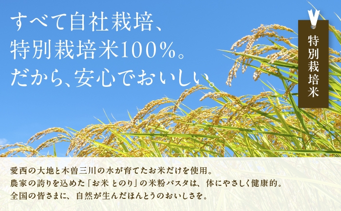 お米 精米 白米 ご飯 ごはん 特別栽培米 愛知県産 米 5kg 5キロ 愛西市