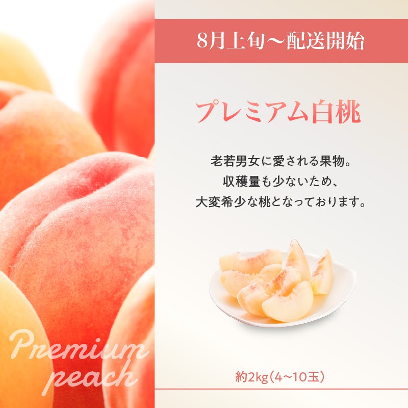 プレミアム白桃と5種便【定期便全5回】 【060-T12 】