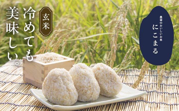 お米 玄米 雑穀米 ご飯 ごはん 特別栽培米 愛知県産 米 10kg 10キロ