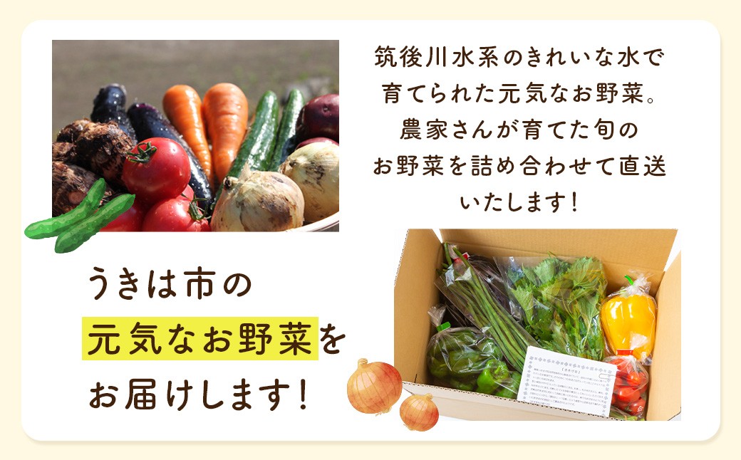 【お試し定期便】UIC 名水うきはのお野菜セット (ひと月1箱×2か月=計2回)