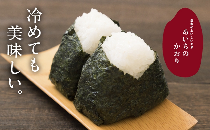 お米 精米 白米 ご飯 ごはん 特別栽培米 愛知県産 米 10kg 10キロ
