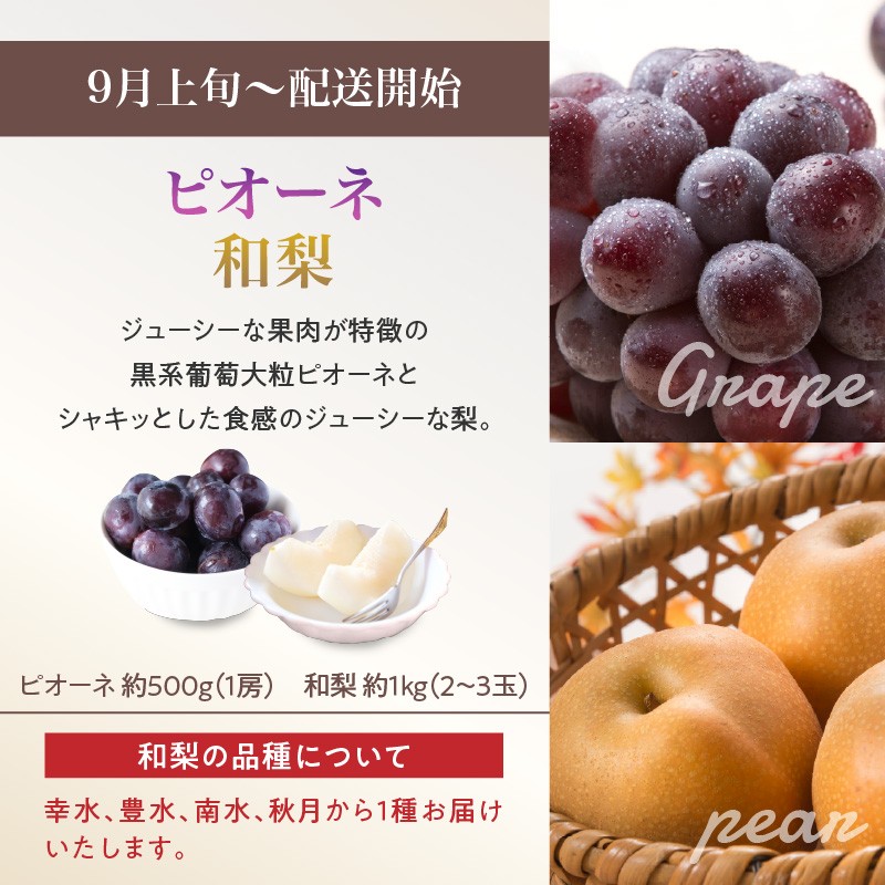 プレミアム白桃と5種便【定期便全5回】 【060-T12 】