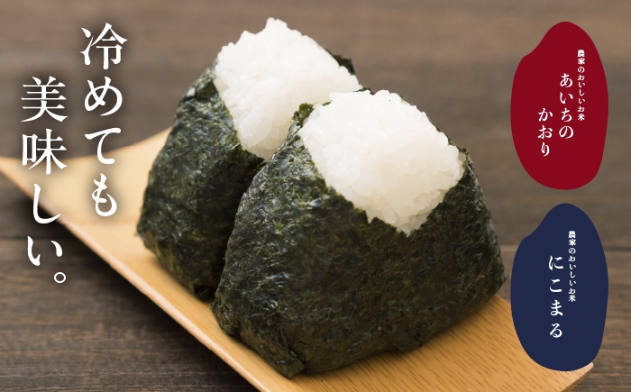 お米 精米 白米 ご飯 ごはん 特別栽培米 愛知県産 米 20kg 20キロ