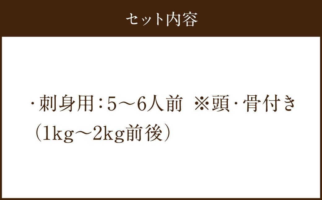長崎の森で育てた『幻のクエ』 刺身用 5～6人前(1kg～2kg前後)／ 海鮮 魚介 刺身 クエ 鍋 高級魚 長崎県 長崎市
