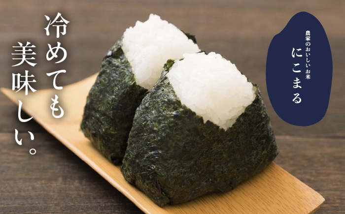 お米 精米 白米 ご飯 ごはん 特別栽培米 愛知県産 米 5kg 5キロ 愛西市