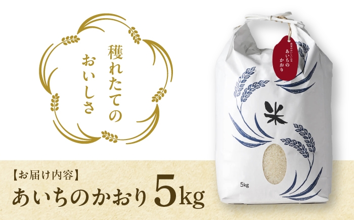 お米 精米 白米 ご飯 ごはん 特別栽培米 愛知県産 米 5kg 5キロ 愛西市