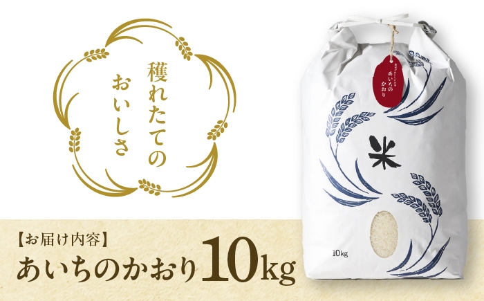 お米 精米 白米 ご飯 ごはん 特別栽培米 愛知県産 米 10kg 10キロ