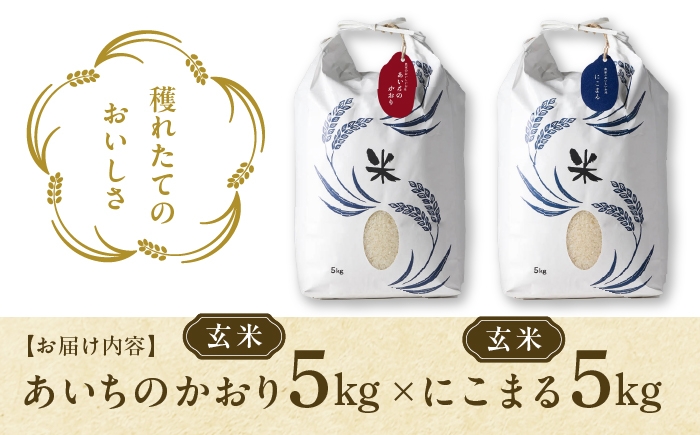 お米 玄米 雑穀米 ご飯 ごはん 特別栽培米 愛知県産 米 10kg 10キロ