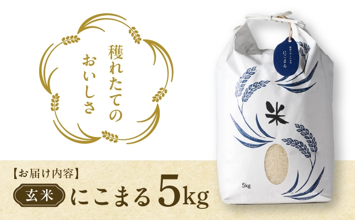 お米 玄米 雑穀米 ご飯 ごはん 特別栽培米 愛知県産 米 5kg 5キロ 愛西