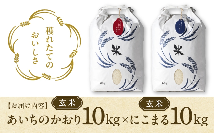 お米 玄米 雑穀米 ご飯 ごはん 特別栽培米 愛知県産 米 20kg 20キロ