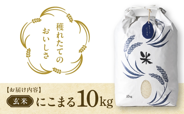 お米 玄米 雑穀米 ご飯 ごはん 特別栽培米 愛知県産 米 10kg 10キロ