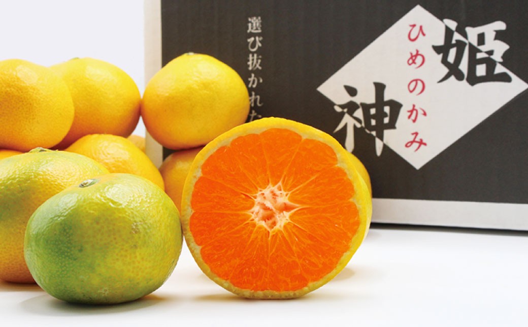 福岡県ブランドみかん「早味かん」3kg