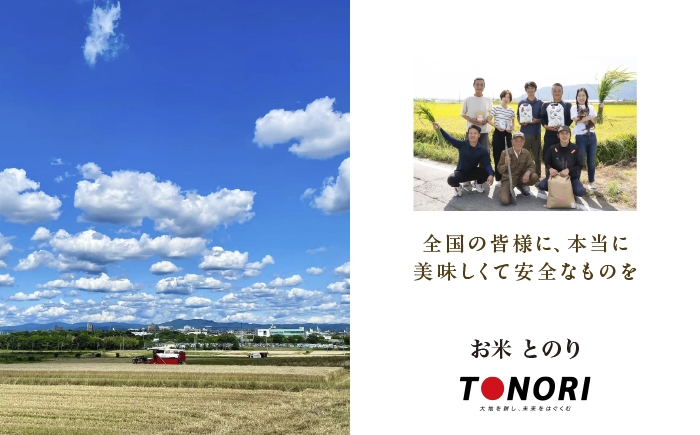 お米 精米 白米 ご飯 ごはん 特別栽培米 愛知県産 米 5kg 5キロ 愛西市