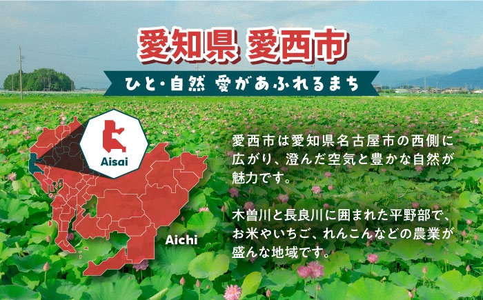 米粉 パスタ お米 米 玄米 米粉パスタ グルテンフリー 麺 米粉麺 小麦不使用