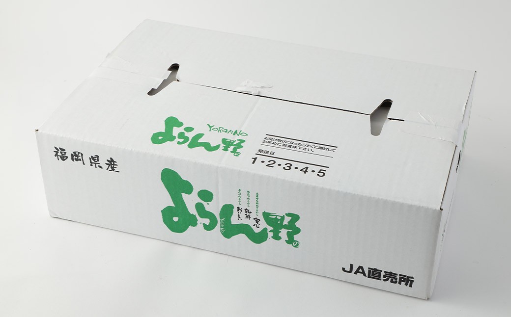 産直 野菜 詰め合わせ BOX 福岡県産 ( お野菜 と 米 の セット )