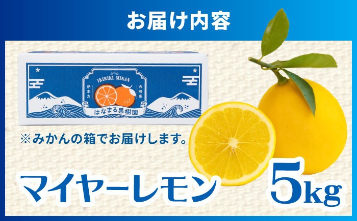 マイヤーレモン 5kg レモン 檸檬 柑橘類 フルーツ 果物