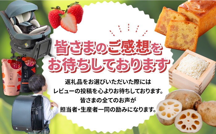 お米 玄米 雑穀米 ご飯 ごはん 特別栽培米 愛知県産 米 10kg 10キロ